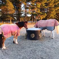Warming up with dry hay  -5 this morning!